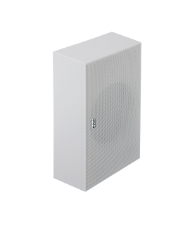 DAP WS-6W Wall Mount Speakers