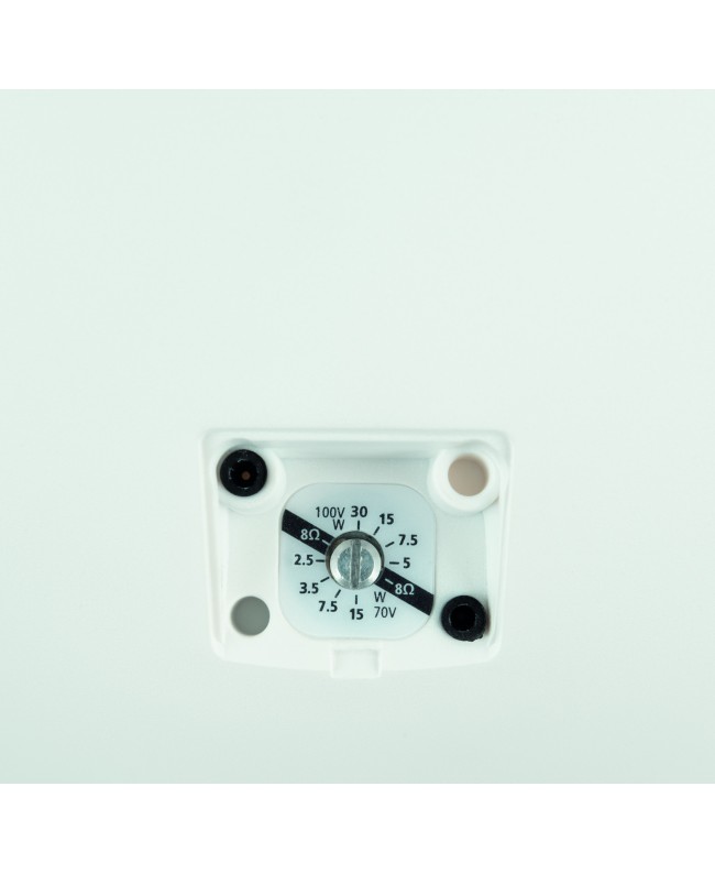 DAP WMS6T-W Diffusori da parete