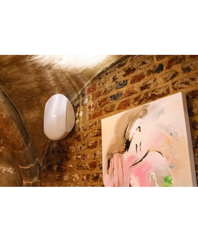 DAP WMS8T-W Diffusori da parete