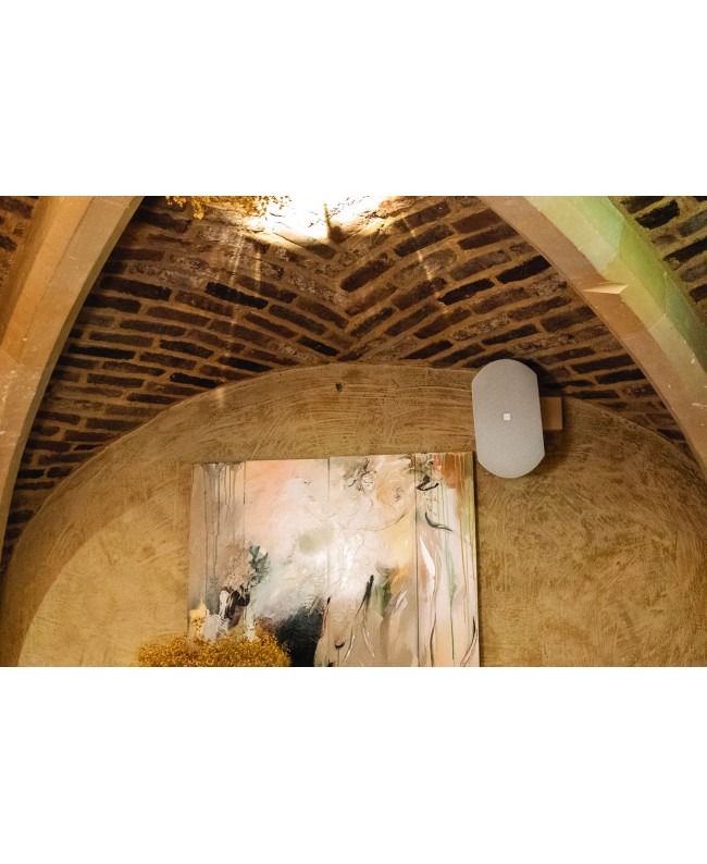 DAP WMS8T-W White Wall Mount Speakers