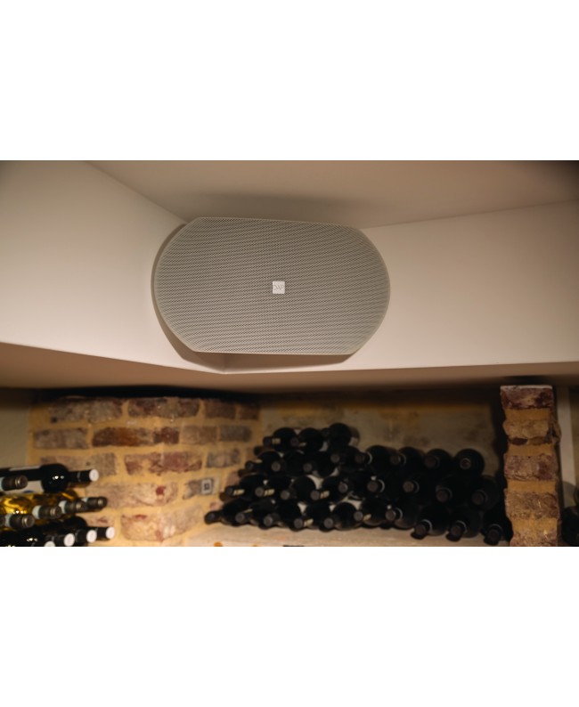 DAP WMS8T-W Diffusori da parete