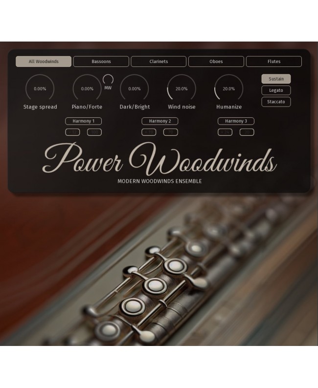MELDA PowerWoodwinds Strumenti virtuali & sampler