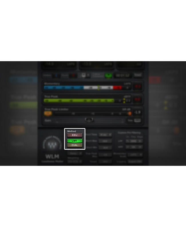 WAVES WLM Plus Loudness Meter Audio- & Effektplugins