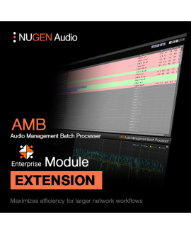NUGEN Audio NUGEN AMB Enterprise Audio- & Effektplugins