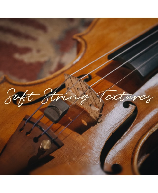Spitfire Audio Soft String Textures Strumenti virtuali & sampler