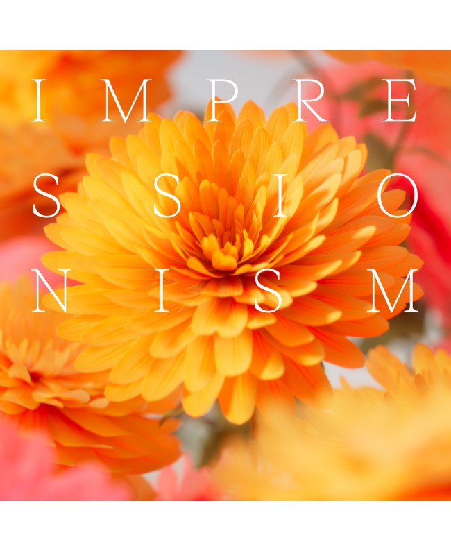 Spitfire Audio Impressionism Virtual Instruments & Samplers