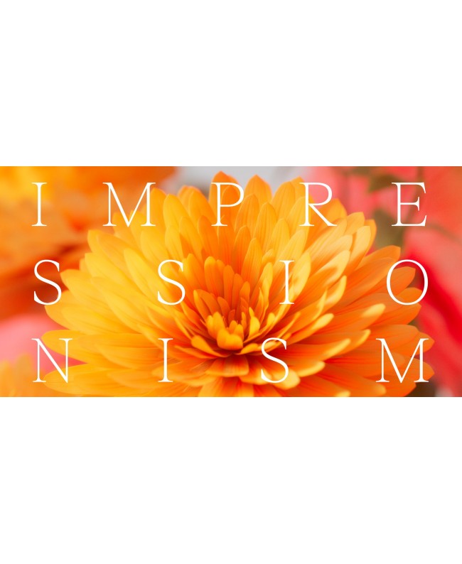 Spitfire Audio Impressionism Virtuelle Instrumente & Sampler