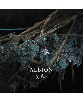 Spitfire Audio Albion Solstice Virtuelle Instrumente & Sampler