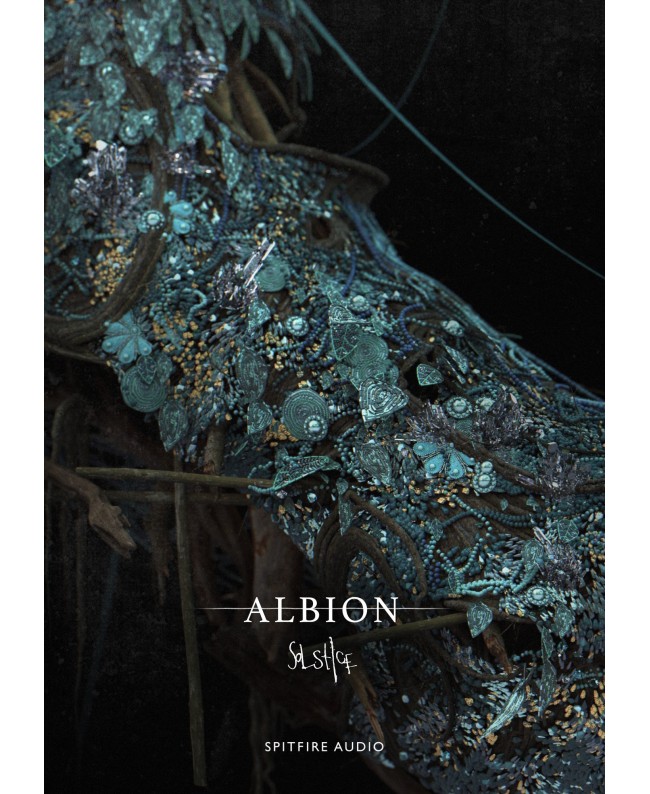 Spitfire Audio Albion Solstice Virtuelle Instrumente & Sampler
