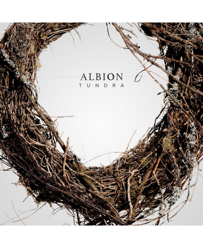 Spitfire Audio Albion Tundra Virtuelle Instrumente & Sampler