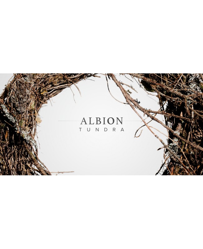 Spitfire Audio Albion Tundra Strumenti virtuali & sampler
