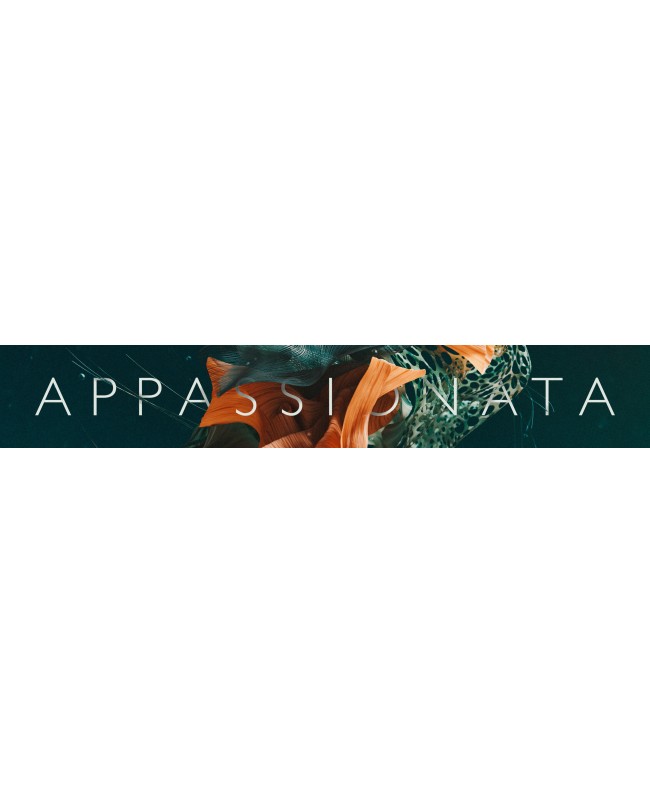 Spitfire Audio Spitfire Appassionata Strings Virtual Instruments & Samplers