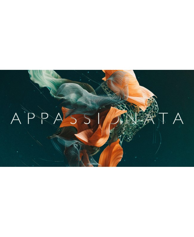 Spitfire Audio Spitfire Appassionata Strings Strumenti virtuali & sampler