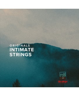 Spitfire Audio Originals Intimate Strings Virtual Instruments & Samplers