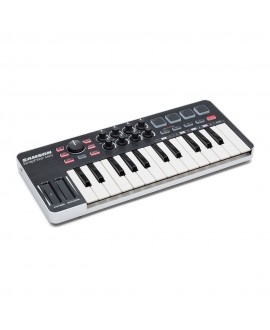 Samson GRAPHITE M25 MIDI Master Keyboards