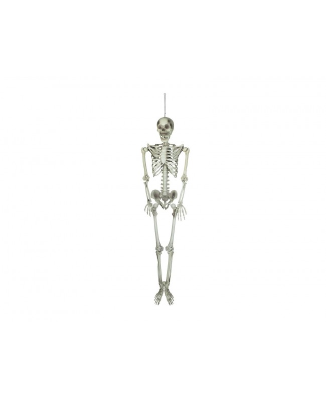 Europalms Halloween Skeleton, 150 cm Articoli stagionali
