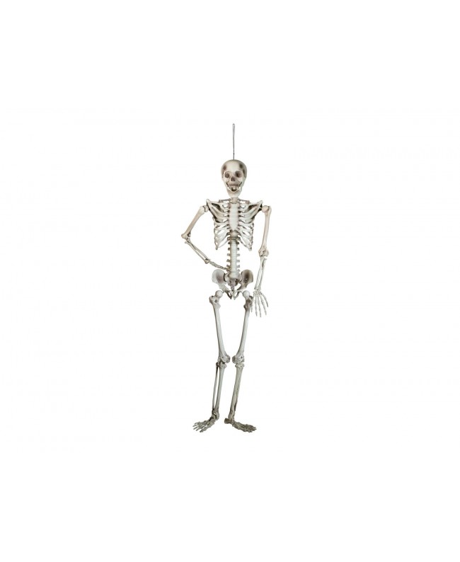 Europalms Halloween Skeleton, 150 cm Articoli stagionali