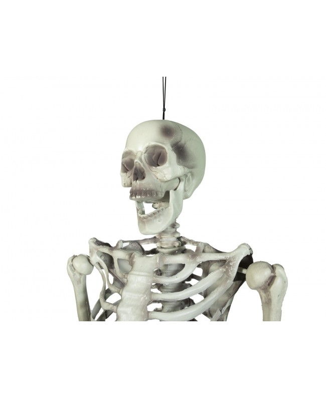 Europalms Halloween Skeleton, 150 cm Seasonal Items