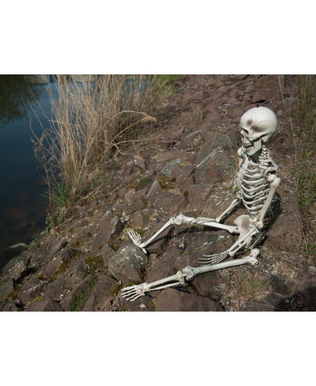 Europalms Halloween Skeleton, 150 cm Seasonal Items