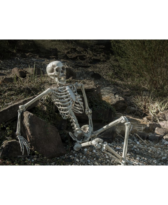 Europalms Halloween Skelett, 150 cm Saisonartikel