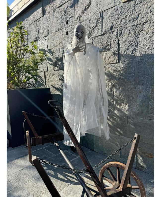 Europalms Strega di Halloween, bianco, 170x50x20cm