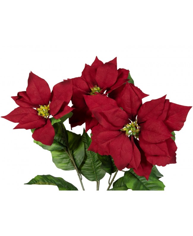 Europalms Poinsettia Bush, red, 50cm