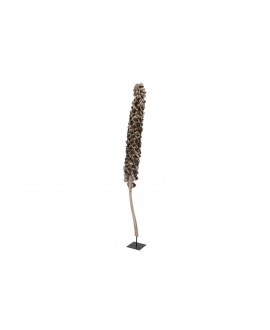 Europalms Cacho coco ca. 120-190cm Seasonal Items