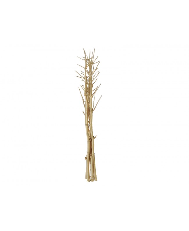 Europalms Fennel bunch, dried, gold, 160cm