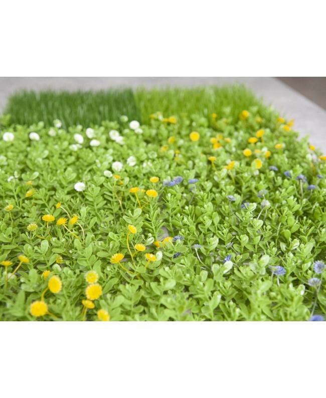 Europalms Grass mat, artificial, green-yellow, 25x25cm