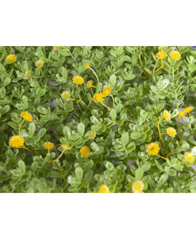 Europalms Grass mat, artificial, green-yellow, 25x25cm