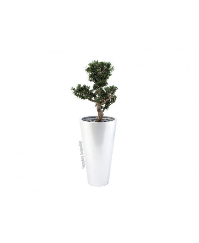 Europalms LEICHTSIN ELEGANCE-69, shiny-silver