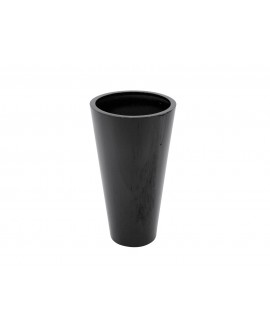 Europalms LEICHTSIN ELEGANCE-69, nero lucido