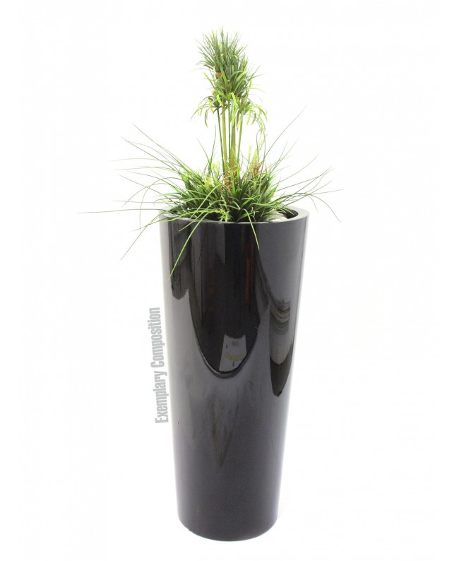 Europalms LEICHTSIN ELEGANCE-110, nero lucido
