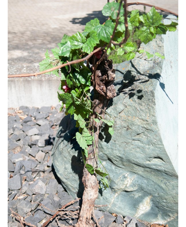 Europalms Grapevine 150cm