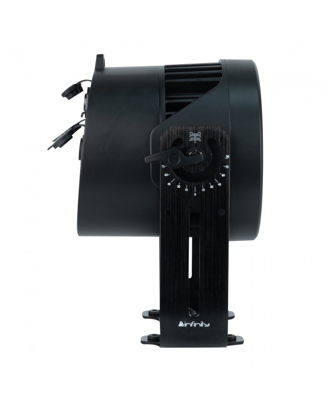 INFINITY Raccoon P14/4 Professional RGBM Par