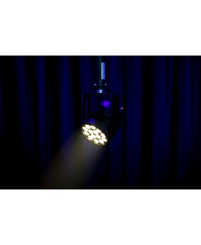 INFINITY Raccoon P14/4 Professional RGBM Par LED PAR
