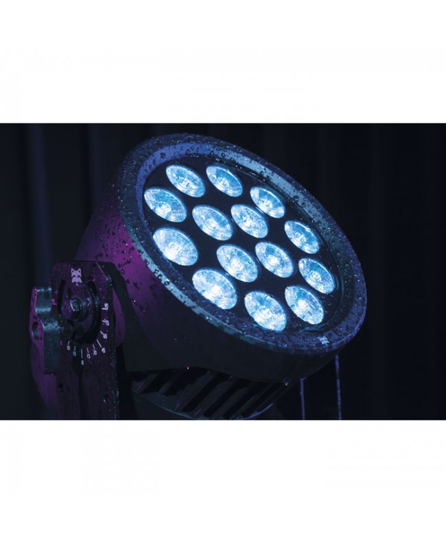 INFINITY Raccoon P14/4 Professional RGBM Par