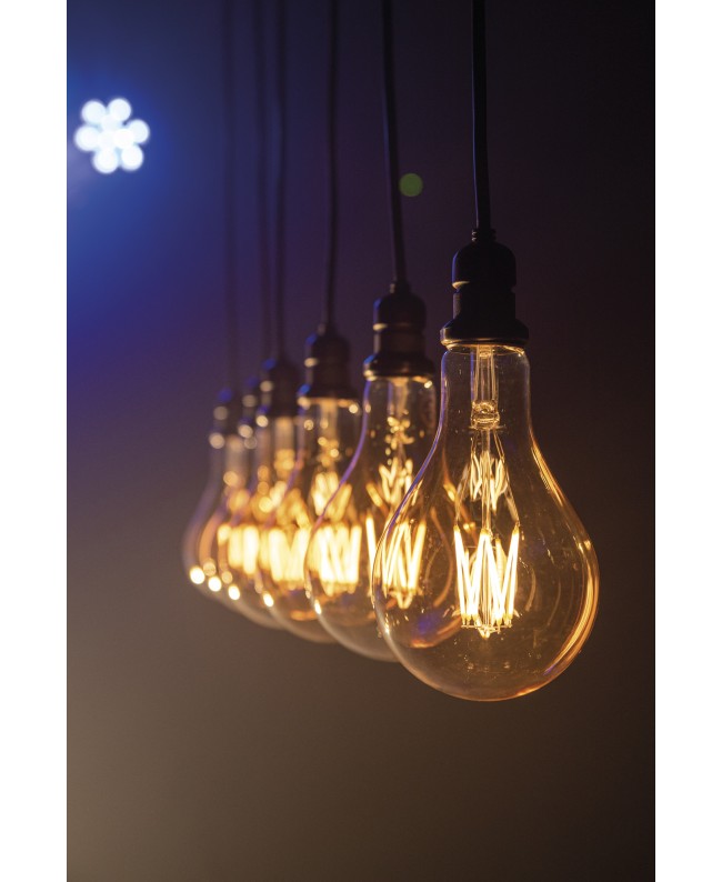 SHOWTEC E27 Dropper 0.5 m Light Decoration