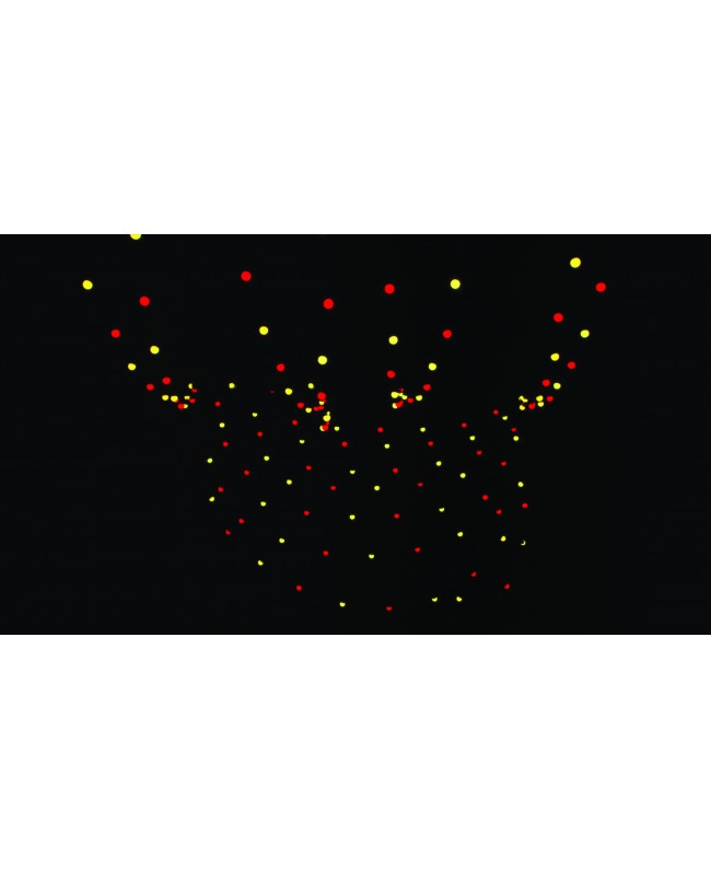 SHOWTEC Festoonlight Q4 Controller comprensivo di cavo di collegamento, lunghezza: 10m Decorazione luminosa