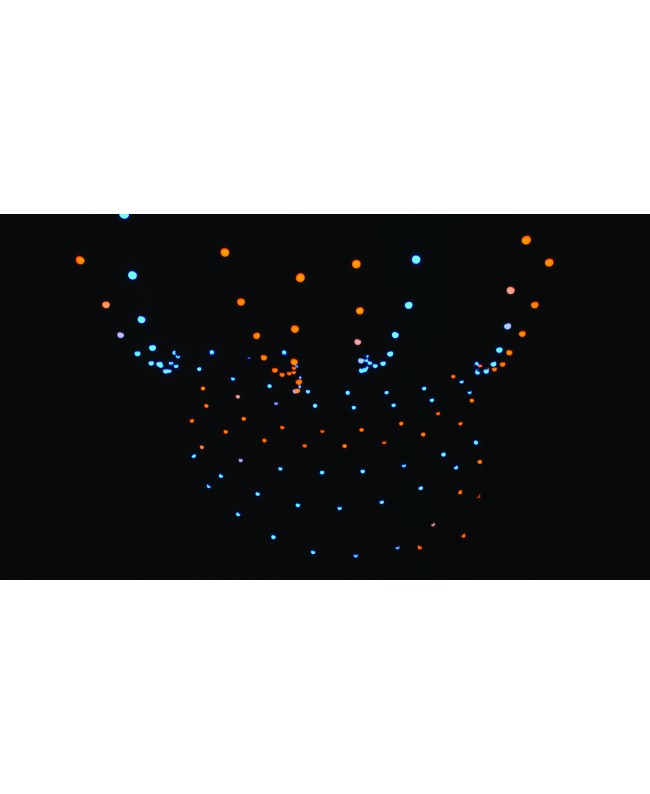 SHOWTEC Festoonlight Q4 Controller Including 10 m Connection Cable