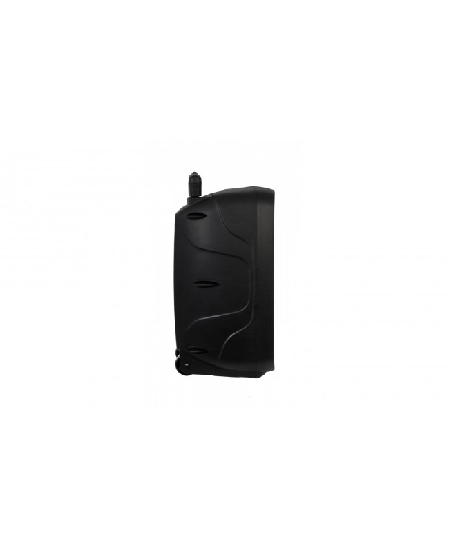 Fonestar Altoparlante 8 a Batteria, 100W Diffusori a batteria