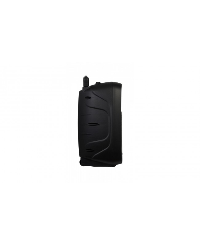 Fonestar Altoparlante 10 a Batteria, 100W Diffusori a batteria