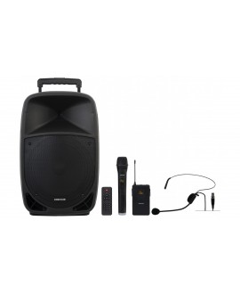 Fonestar Altoparlante 12 a Batteria, 250W Diffusori a batteria