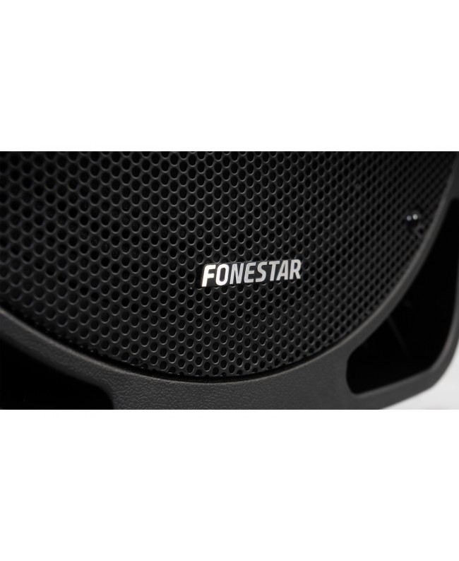 Fonestar Altoparlante 12 a Batteria, 250W Diffusori a batteria