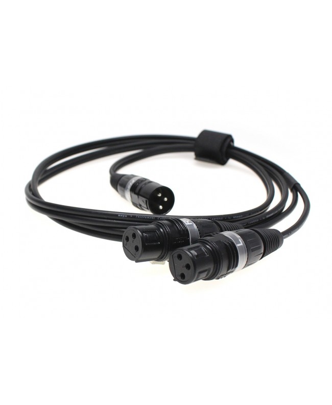 FISCHER AMPS XLR Adapterkabel für In Ear Stick / Mini Body Pack Y-Kabel