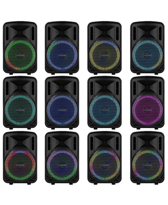 Fenton FT12LED MK2 Port.System12 BT 1xUHF Diffusori a batteria