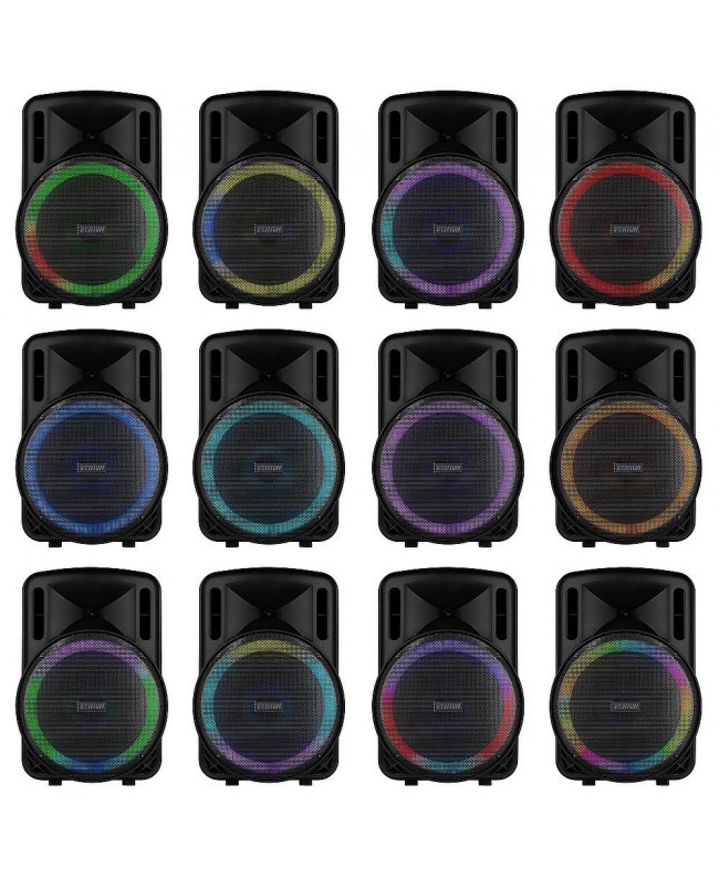 Fenton FT15LED Mk2 Port.System15 BT 1xUHF Diffusori a batteria