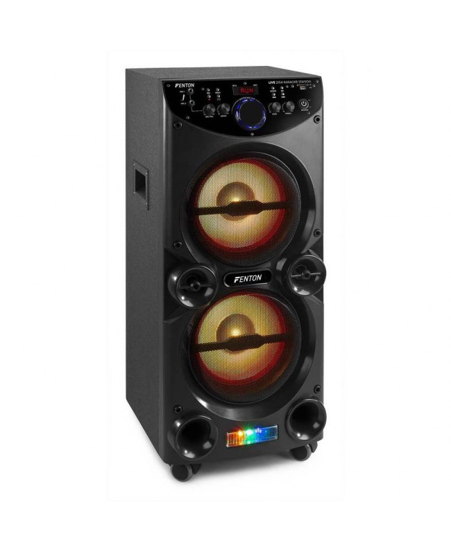 Fenton LIVE2104 KaraokeStat.2x10USB,2XMic Akkubetriebene PA-Lautsprecher