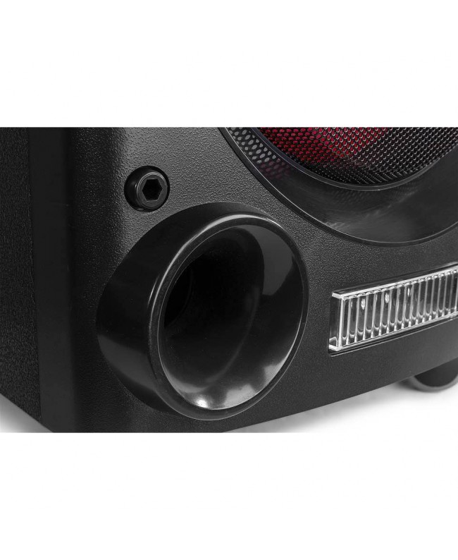 Fenton LIVE2104 KaraokeStat.2x10USB,2XMic Akkubetriebene PA-Lautsprecher