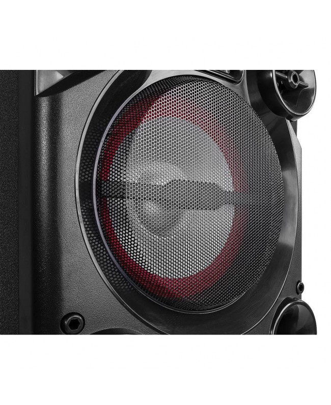Fenton LIVE2104 KaraokeStat.2x10USB,2XMic Diffusori a batteria